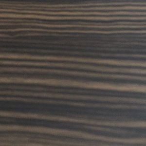 Meet your Posher, Chih hua